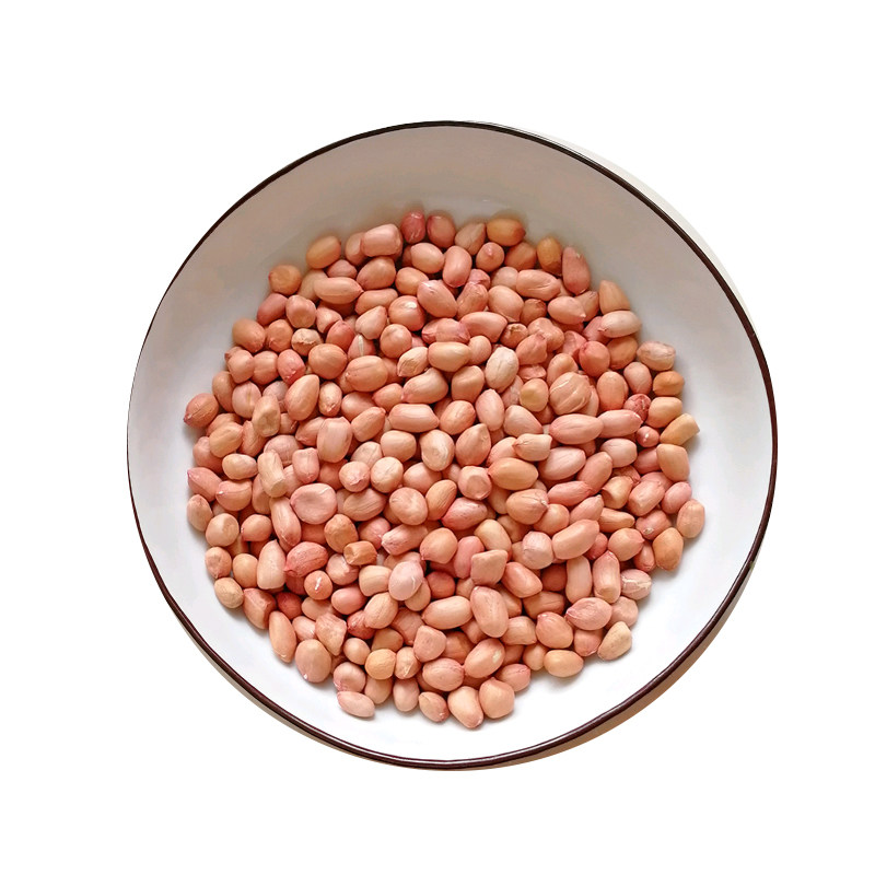 包粽子花生生花生花生仁白花生豆海门手剥花生米新货大粒500g包邮