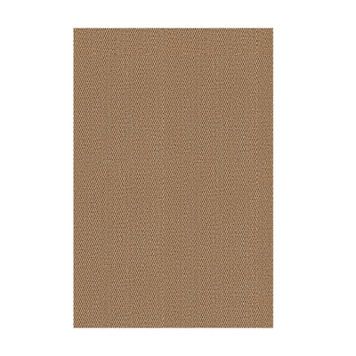 地垫入户门垫门口进门家用2025新款脚垫地毯入户入门仿剑麻脚踏垫