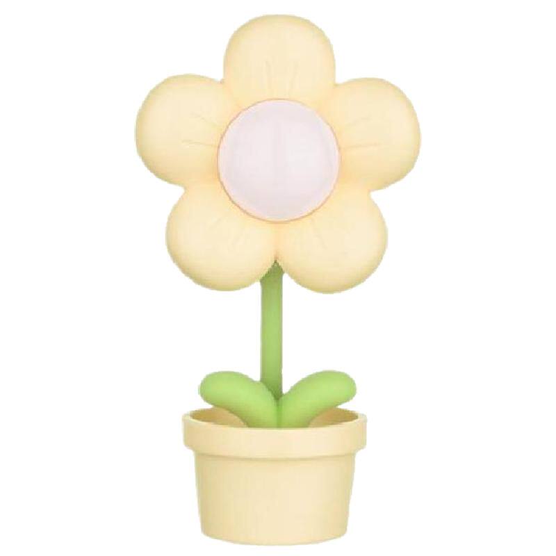 全班奖品中小学生五六年级