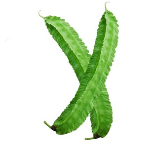 海南龙豆三亚特产四角豆新鲜四棱豆杨桃龙豆蔬菜 帝皇豆 空运包邮