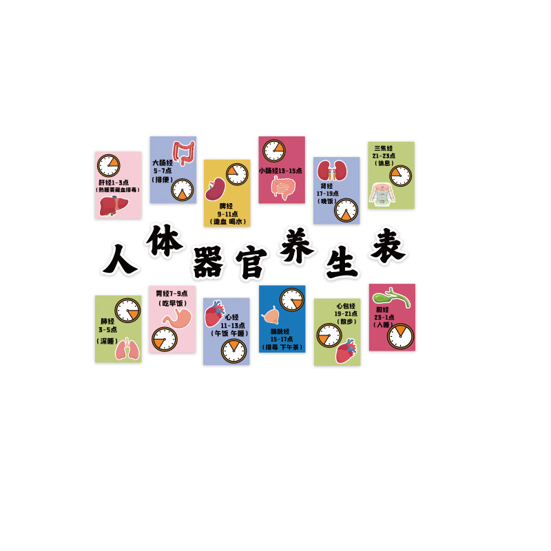 人体器官养生店时间艾灸馆装饰画中医形象图文化背景墙面氛围布置