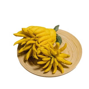 精品佛手柑鲜果水培观赏插花云南直发新鲜香橼鲜切花闻香摆件鲜花