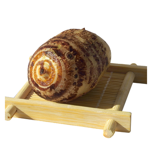 龙香芋中籽现货挖兴化垛田龙头芋头小子新鲜芋仔糯毛奶芋艿泥种苗