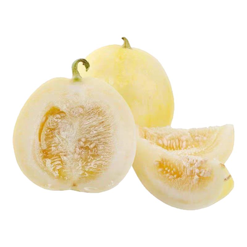 山东头茬甜瓜现摘小蜜蜂星甜20蜜罐甜瓜现摘脆瓜新鲜水果香瓜蜜瓜