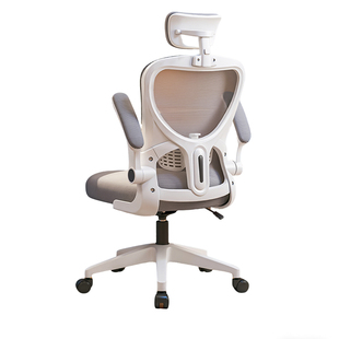 办公椅电脑椅子舒适久坐家用办公室会议职员工位座椅升降靠背转椅