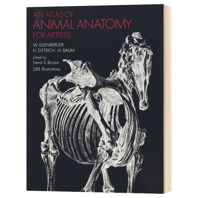 华研原版 动物解剖图谱 英文原版 An Atlas of Animal Anatomy for Artists 动物绘画技巧参考书 英文版进口原版英语艺术类书籍