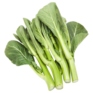 广东四九菜心种籽增城迟菜心种子四季菜苔大全南方耐热青菜蔬菜孑