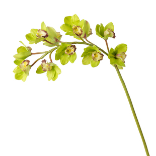 钢琴公主大花蕙兰仿真花高级感逼真蝴蝶兰花假花婚礼布置装饰摆设