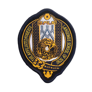 【校徽现货】华南师范大学附属同文外国语学校 华师附小附中