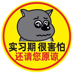 实习车贴新手上路磁贴汽车贴纸创意期用磁吸女司机标志反光贴让我