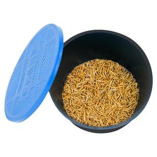 开口虫小面包虫3毫米8毫米活体虫包活黄粉虫壁虎龙鱼龟蛙蝎子食物