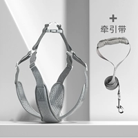 Aurora Silver+Traction Zone