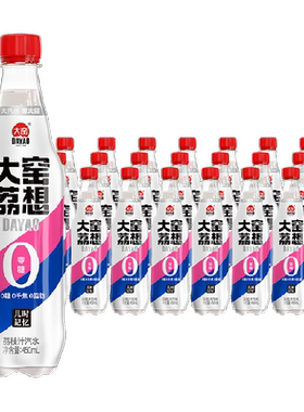 大窑荔想荔枝汽水清爽450ml*12瓶