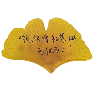 银杏叶便利贴高颜值仿真树叶子有粘性便签纸留言条留言条学生文具