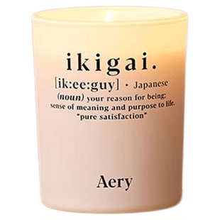 Aery英国香薰蜡烛家用室内香氛植物精油无烟大豆蜡高级礼物
