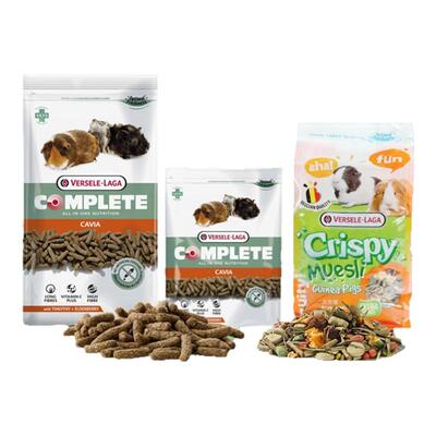 比利时凡赛尔进口豚鼠荷兰猪粮食