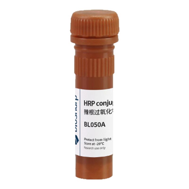 Biosharp白鲨 BL050A 辣根过氧化物酶标记链霉亲和素 1mg/ml