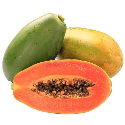 正宗冰糖红心木瓜树上熟新鲜水果牛奶产地直发包邮整箱鲜木瓜现摘