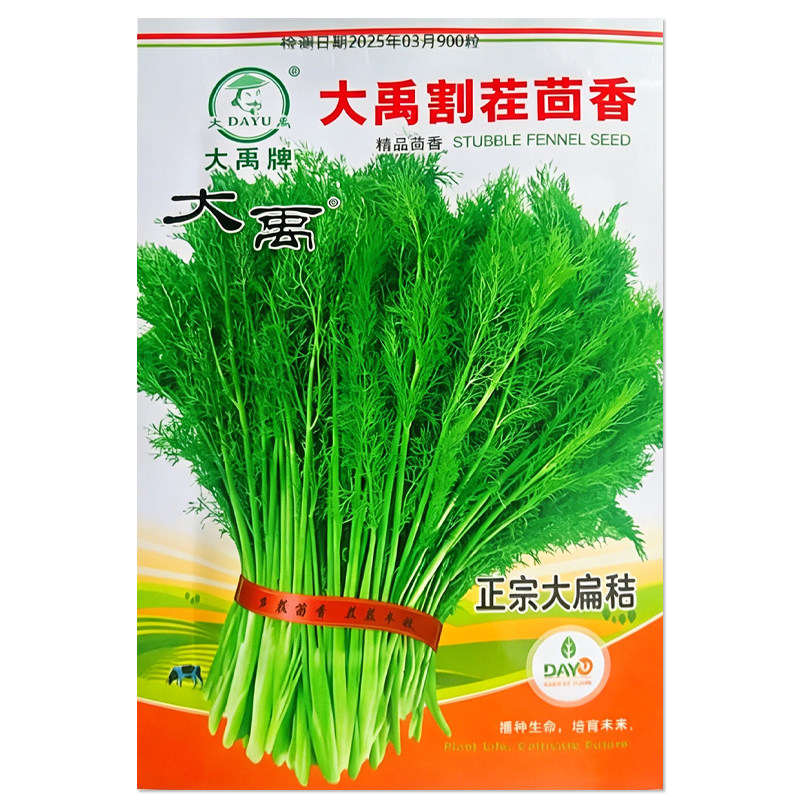 大禹割茬茴香种子多次采收
