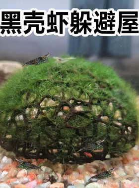 虾躲避屋小鱼观赏造景鱼缸小型迷你黑虎虾繁殖窝装饰摆件庇护水族