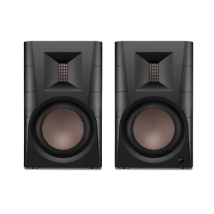 Hivi/惠威 D300有源书架蓝牙5.0HIFI桌面电脑电视客厅音箱 d300