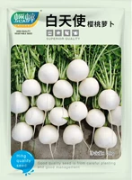 Семена редиса Day Angel Черри 10г