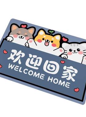 入户门地垫进门家用脚垫大尺寸