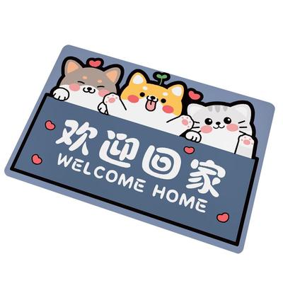 入户门地垫进门家用脚垫大尺寸