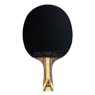 红双喜乒乓球拍9星专业级正品九星狂飚H9002横9006直训练比赛单拍