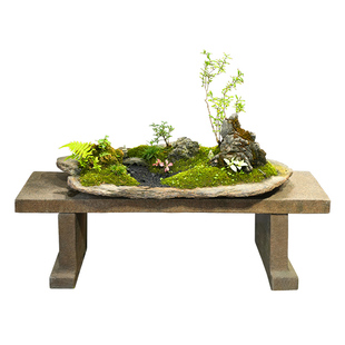 水磨坊庭院仿石微景观造景植物盆景阳台花园多肉花盆花架装饰摆件