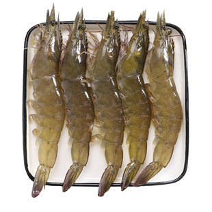 大虾鲜活海鲜水产青岛超大冷冻基围虾海虾鲜虾青虾速冻特大对虾活