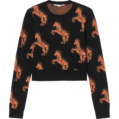 ITStellaMcCartney圆领针织衫