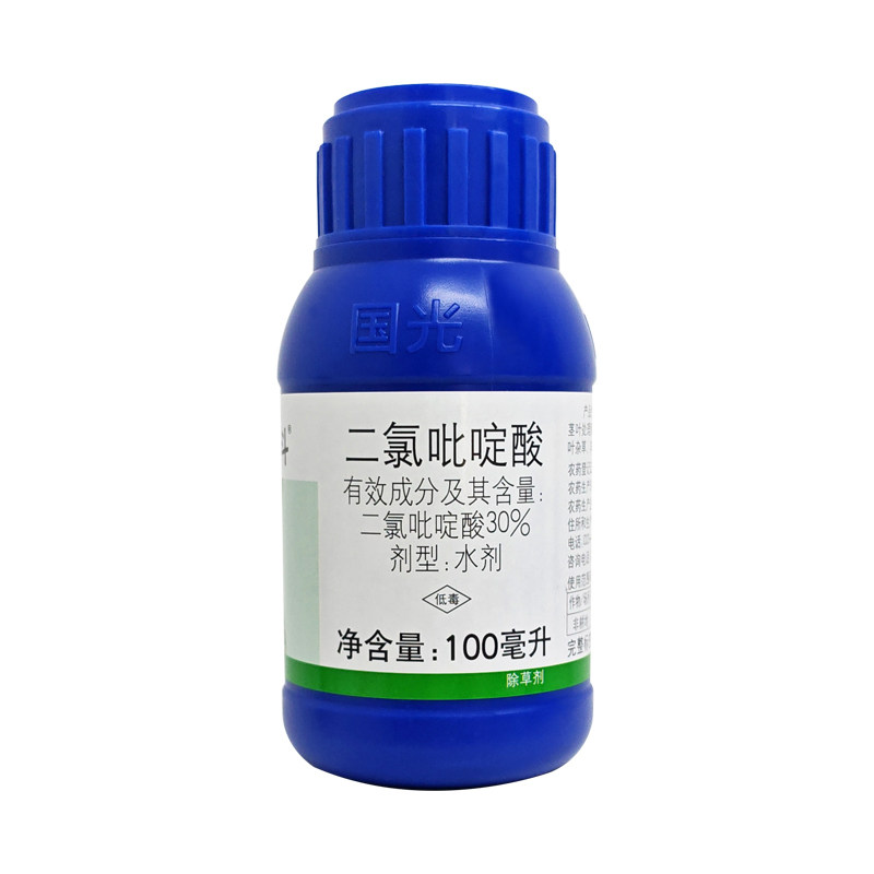 国光菊斗二氯吡啶酸 防除恶性阔叶杂草 除蒲公英刺儿菜草坪除草剂
