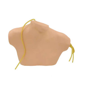 弘模HOM/L68B中心静脉穿刺插管模型颈内锁骨模拟深静脉注射训练模具人体模型