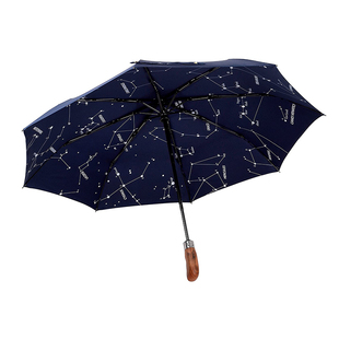 英国Balios雨伞双层男士自动折叠伞商务高档雨伞英伦贵族伞现货