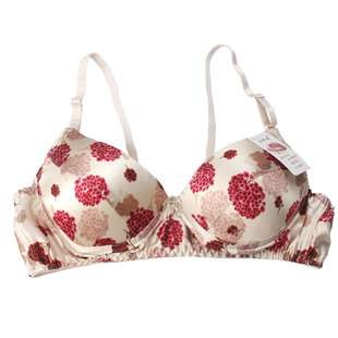 满3件包邮 真丝内衣100%桑蚕丝双面真丝文胸薄款无钢圈胸罩B罩杯