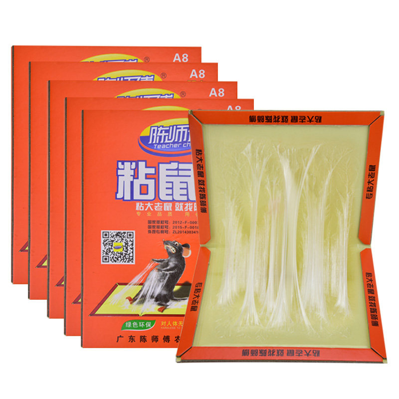 老鼠贴超强力粘鼠板加大加厚家用实惠装加诱饵抓大老鼠神器陈师傅