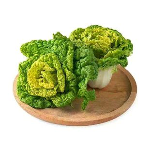 乌塌菜秧苗新鲜黄心乌黑心乌冬天菜苗阳台盆栽四季黄心菜蔬菜苗子