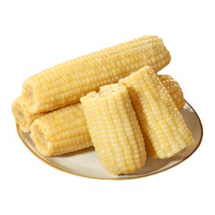 豫小派真空苞谷白糯黏玉米真空袋装甜粘主食低脂白糯玉米棒轻食