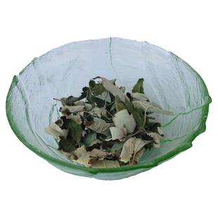 野坝子野巴子扫把茶云南高山狗尾巴香野紫苏香苏草野坝子叶农家采