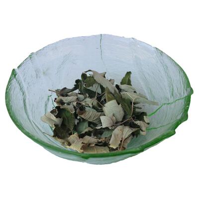 彝星源野坝子茶云南高原特色凉茶