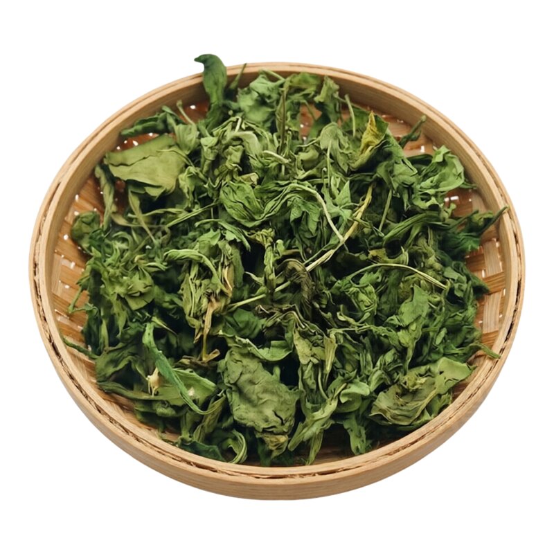 泰山野生枸杞叶天精草新晒干货