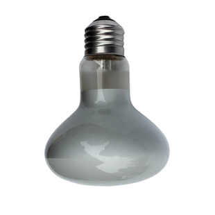 浴霸灯泡照明 中间小40w/60w/100瓦取暖灯275瓦卫生间浴室加热保