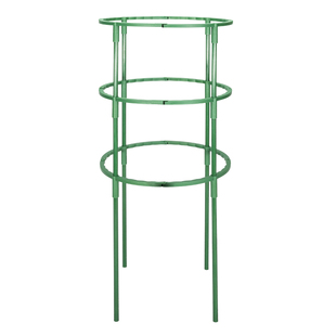 蟹爪兰专用支架固定支撑杆蝴蝶兰盆栽绿萝架子防倒伏造型花托爬藤