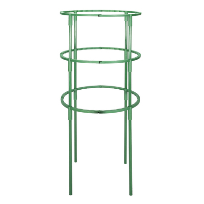 蟹爪兰专用支架固定支撑杆