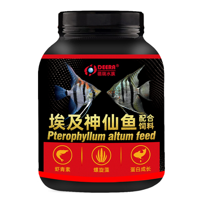神仙鱼饲料埃及燕鱼鱼食