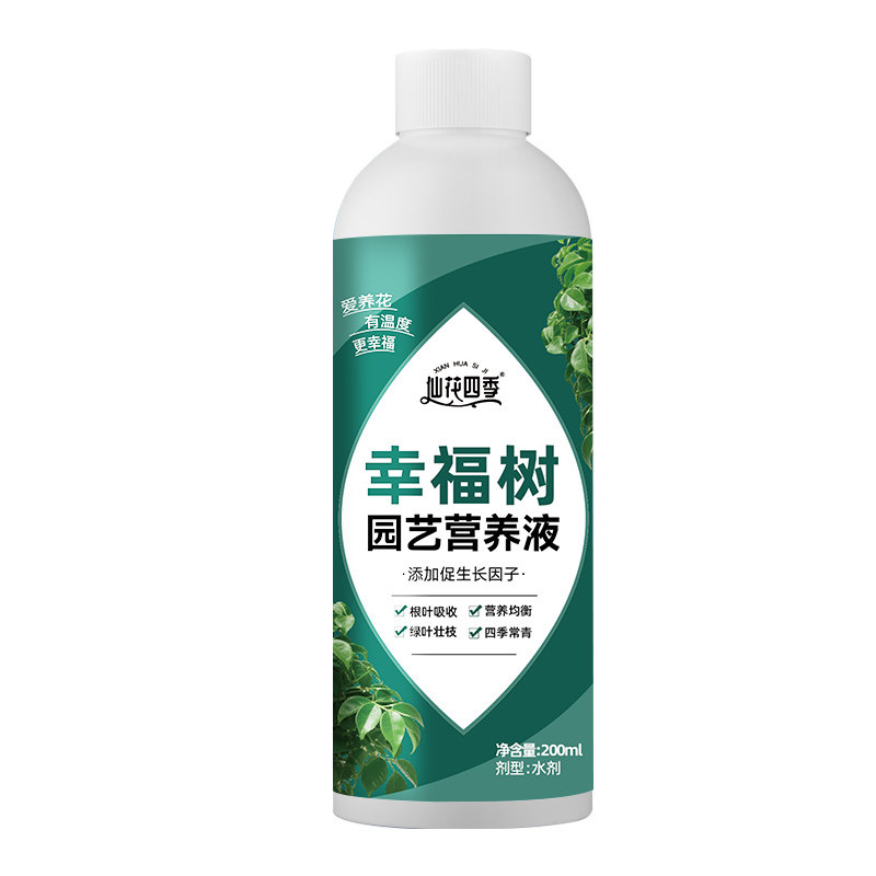 幸福树专用营养液肥料水溶肥