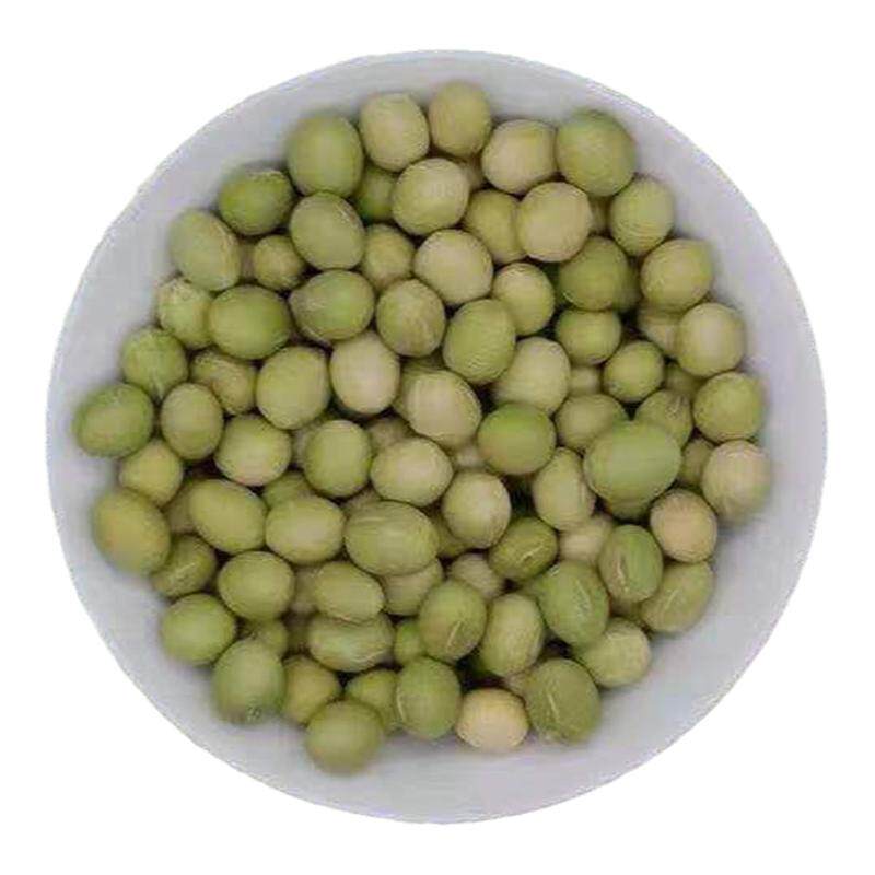 极早熟毛豆种子50天高产青豆菜种子蔬菜春季种子特早王菜豆种新种