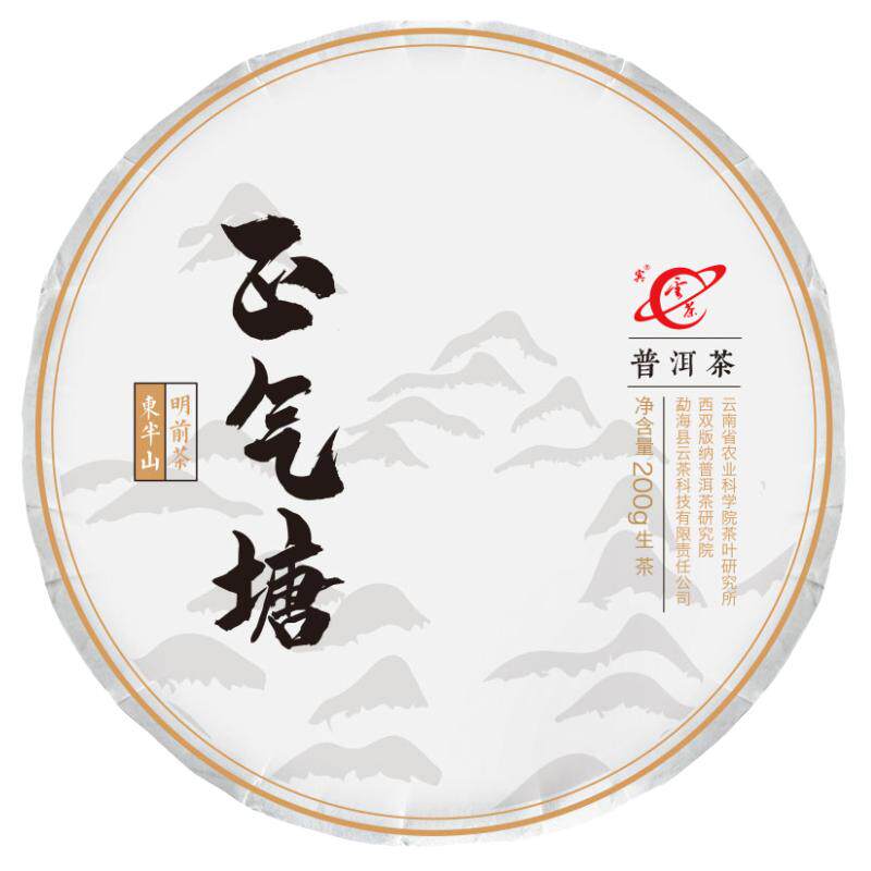 小冰岛2019正气塘古树头春生普洱
