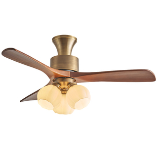 高端大气全铜实木2025年新款客厅专用中古风扇灯吸顶式吊扇灯中式